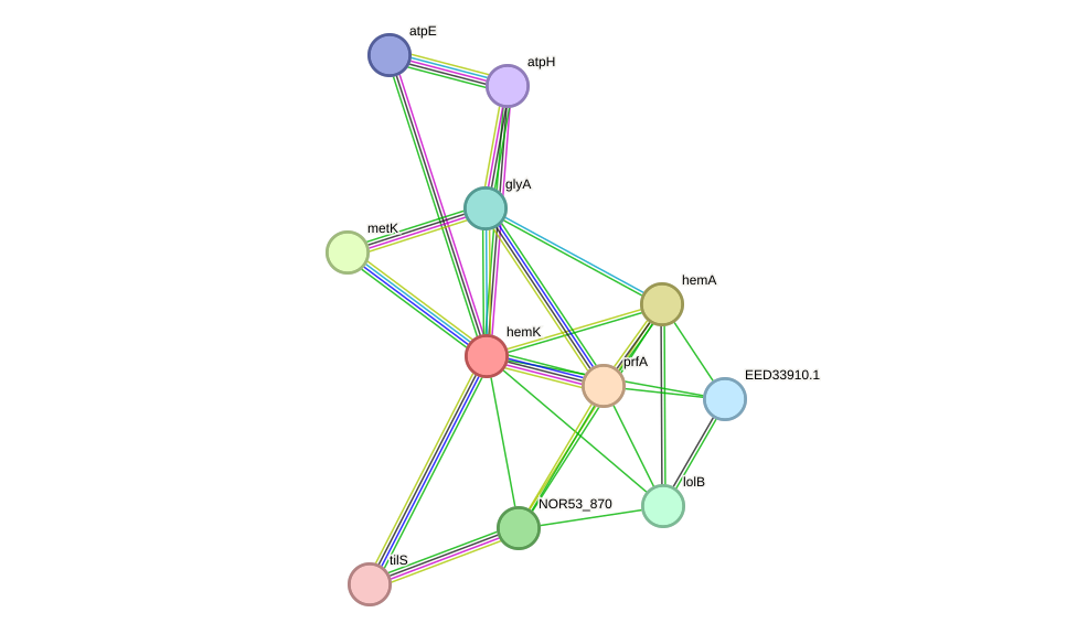STRING protein interaction network