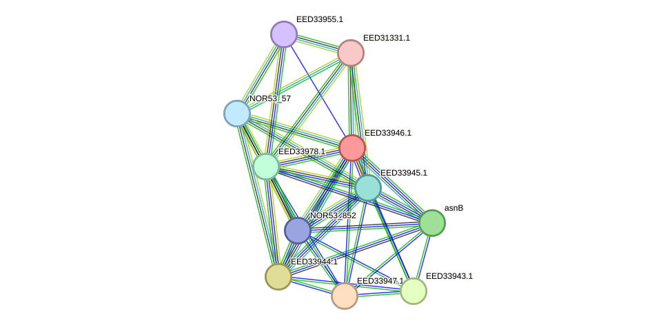 STRING protein interaction network