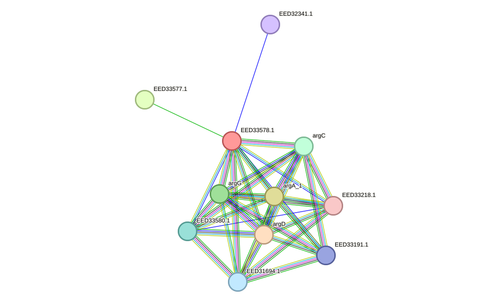 STRING protein interaction network