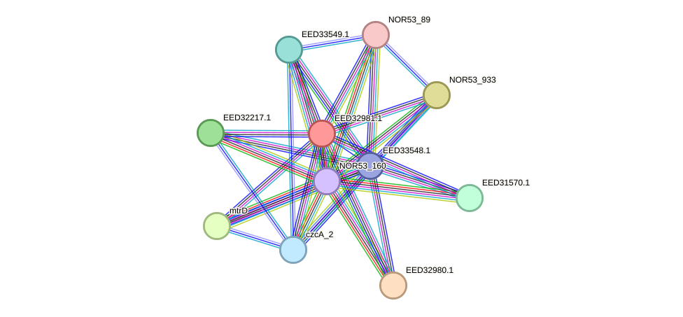 STRING protein interaction network