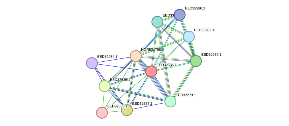 STRING protein interaction network