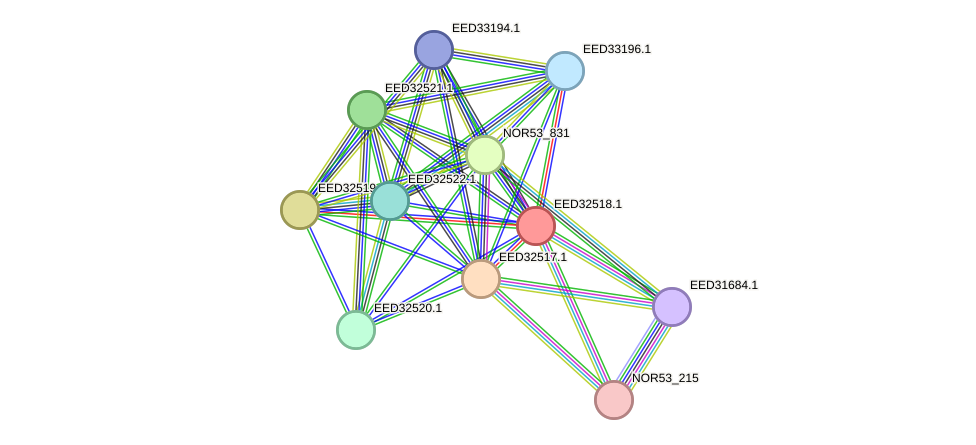 STRING protein interaction network