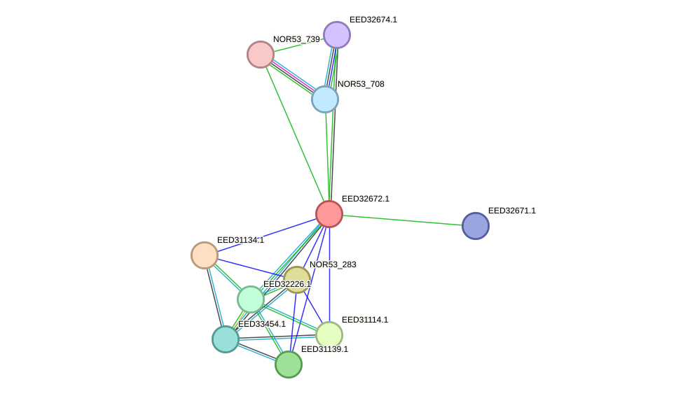 STRING protein interaction network