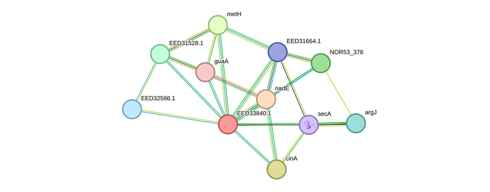 STRING protein interaction network
