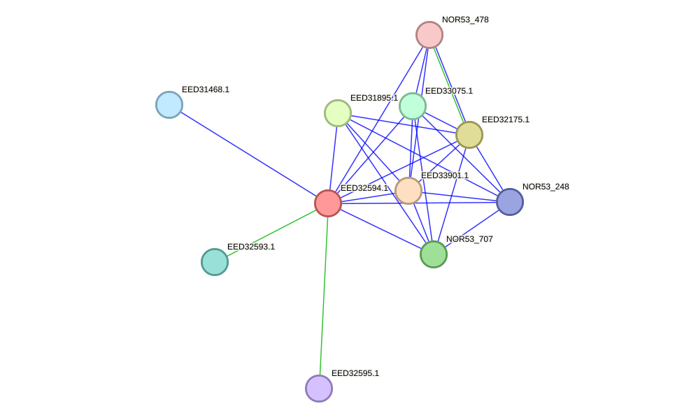 STRING protein interaction network