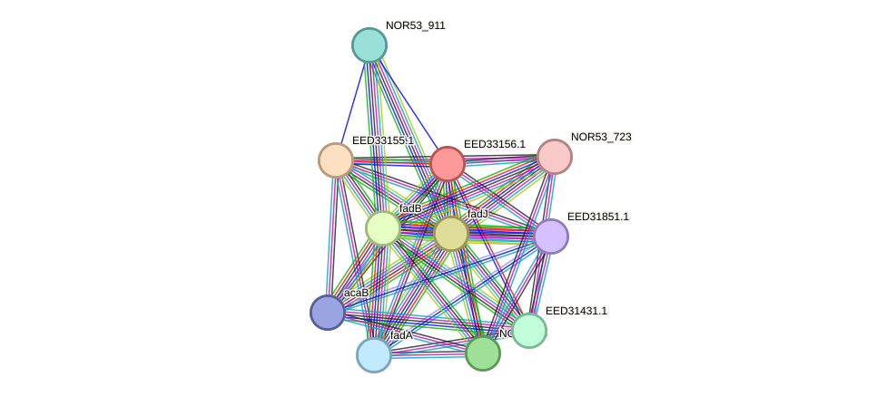 STRING protein interaction network