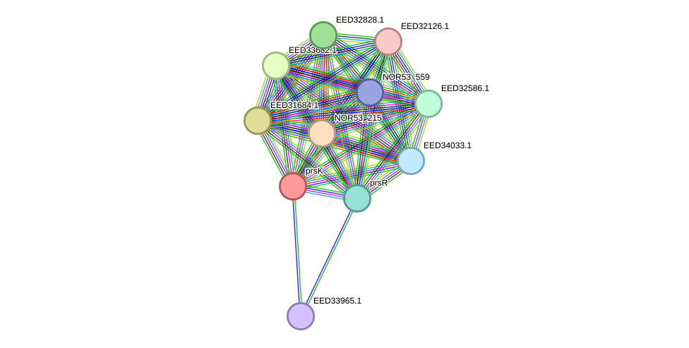 STRING protein interaction network