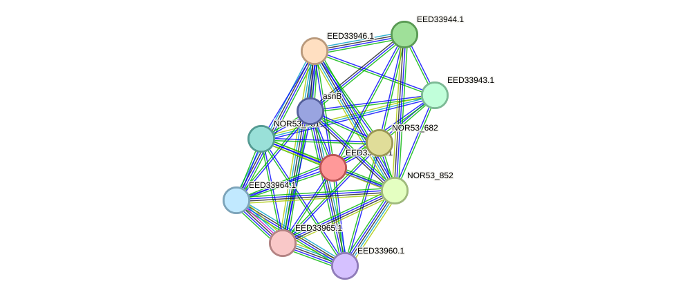 STRING protein interaction network