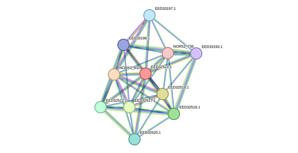 STRING protein interaction network