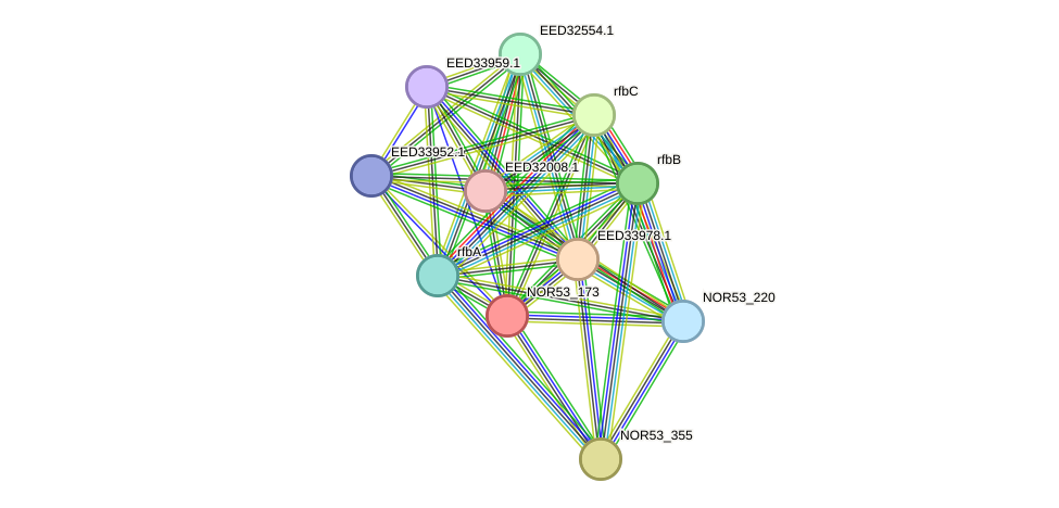 STRING protein interaction network