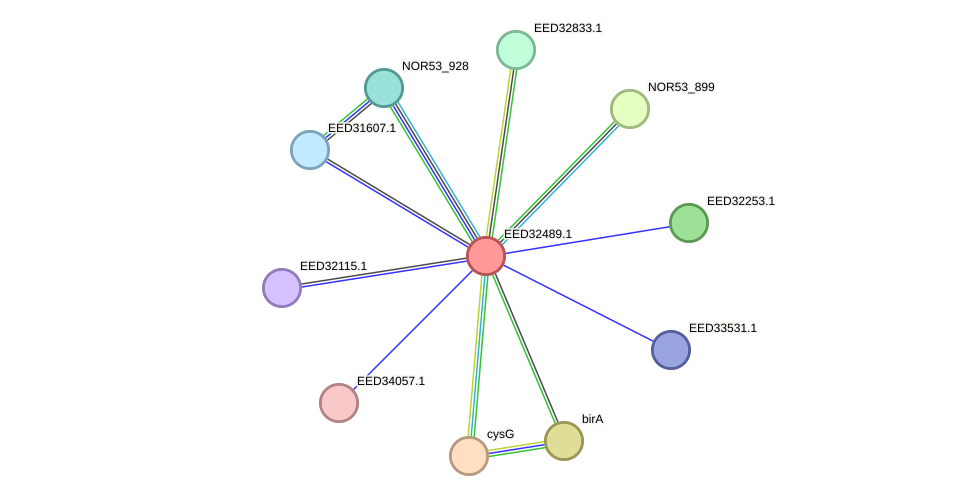 STRING protein interaction network