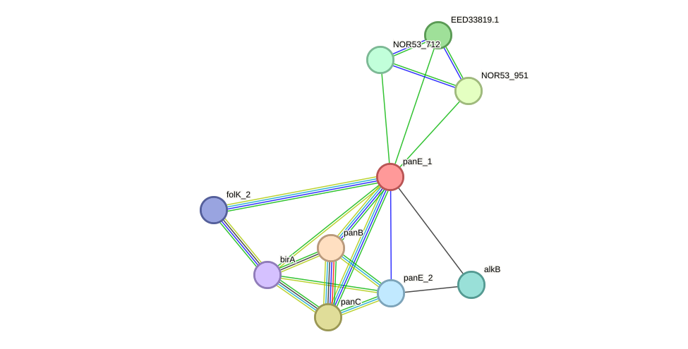 STRING protein interaction network