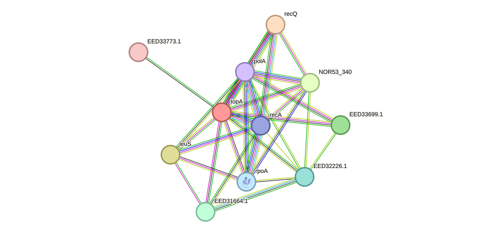 STRING protein interaction network