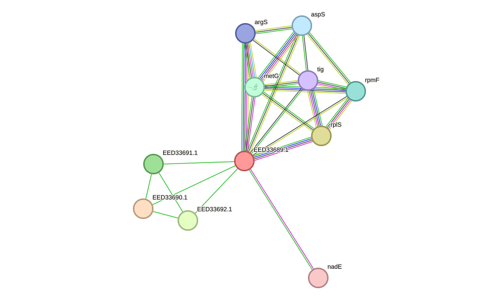 STRING protein interaction network
