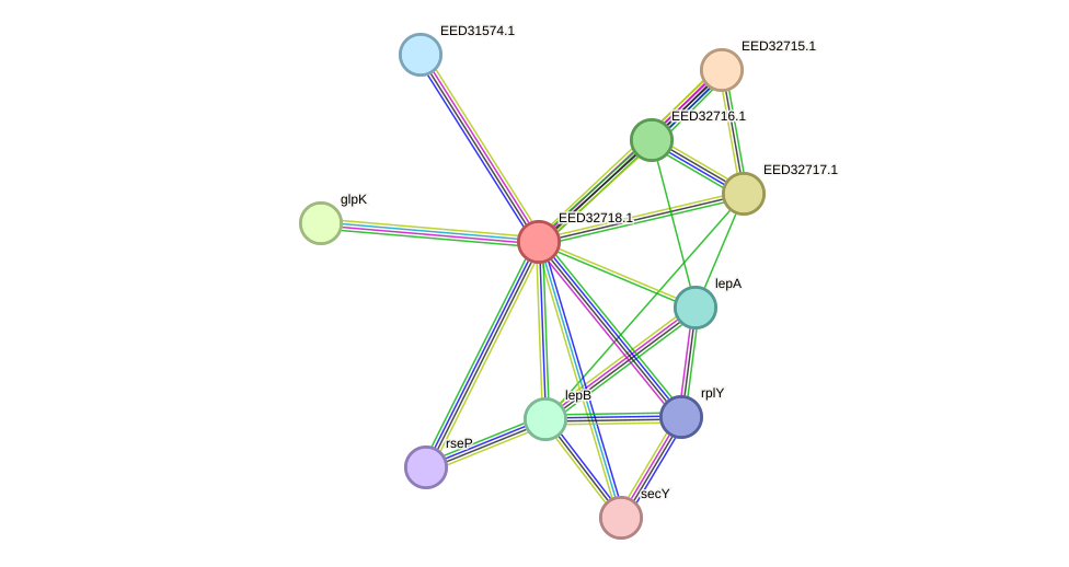 STRING protein interaction network