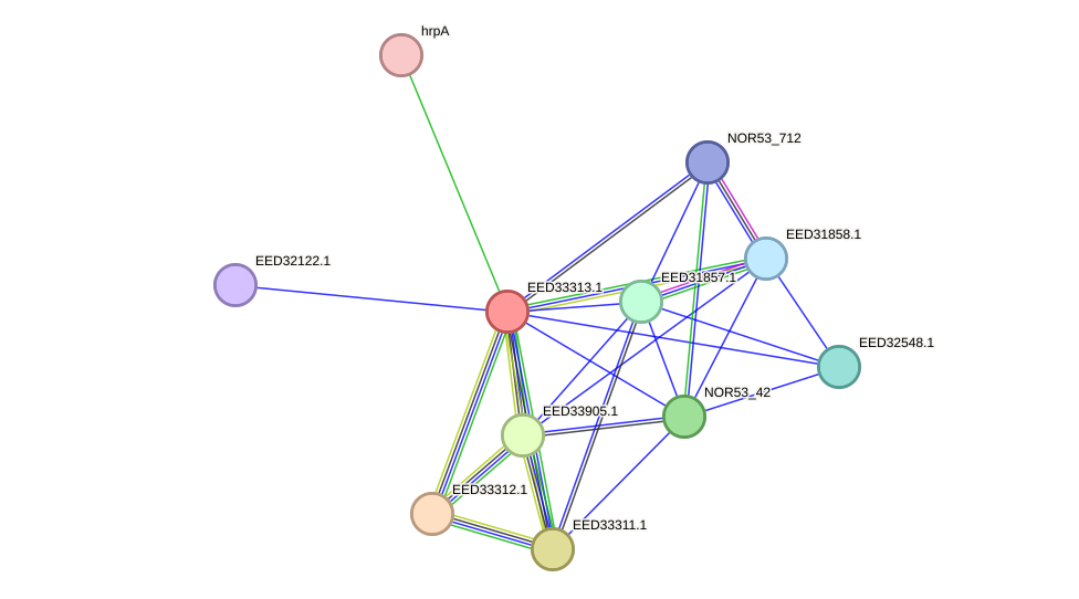 STRING protein interaction network