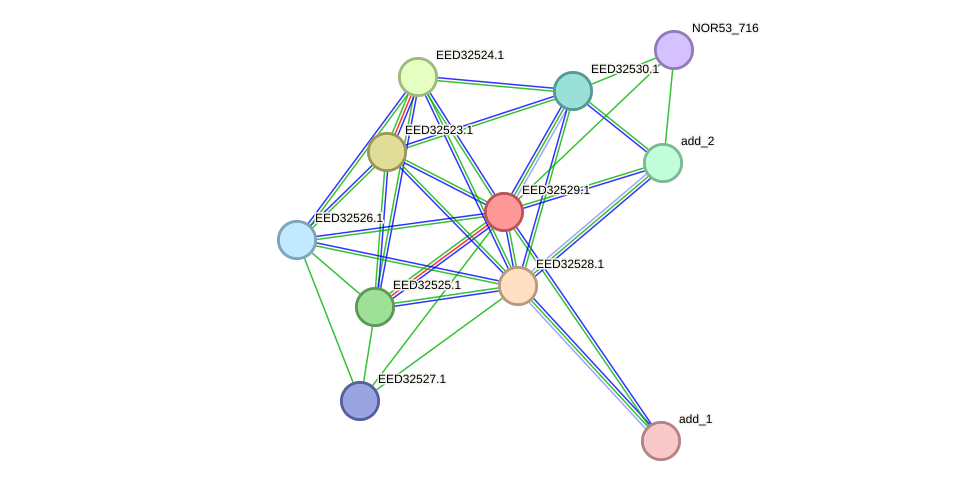STRING protein interaction network