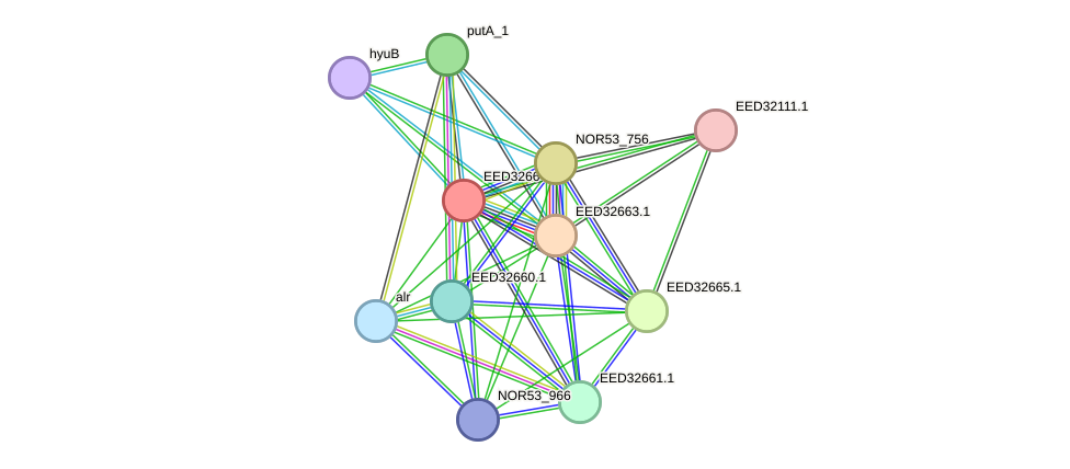 STRING protein interaction network