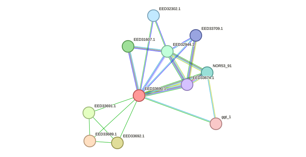 STRING protein interaction network