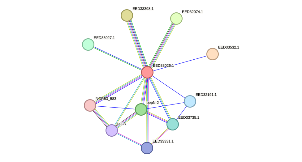 STRING protein interaction network