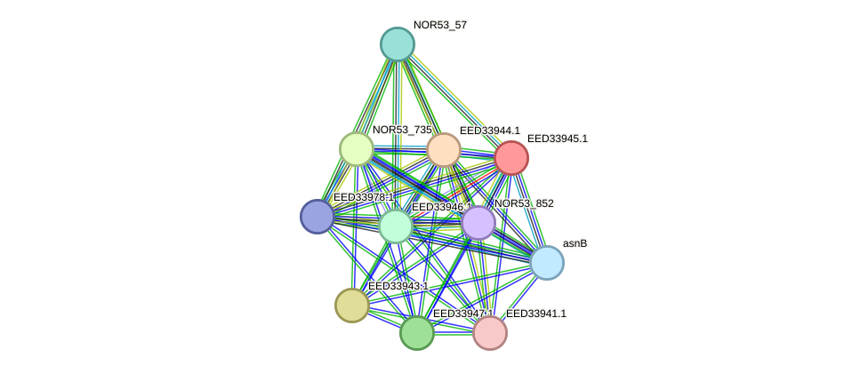 STRING protein interaction network