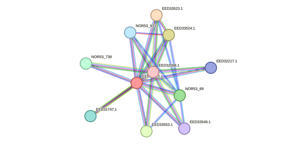 STRING protein interaction network