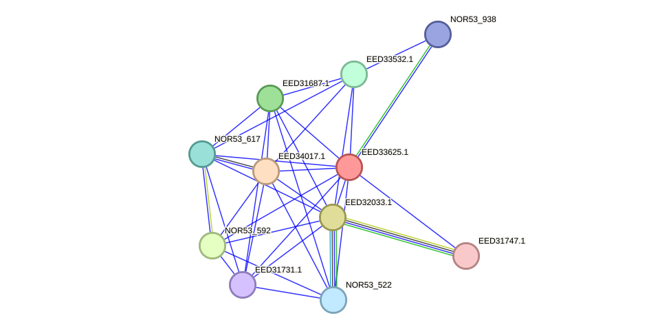STRING protein interaction network