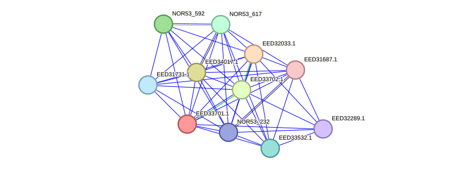 STRING protein interaction network
