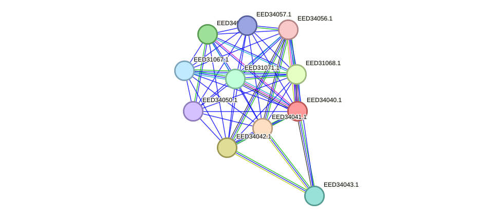 STRING protein interaction network