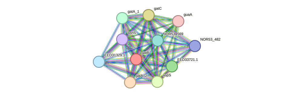 STRING protein interaction network