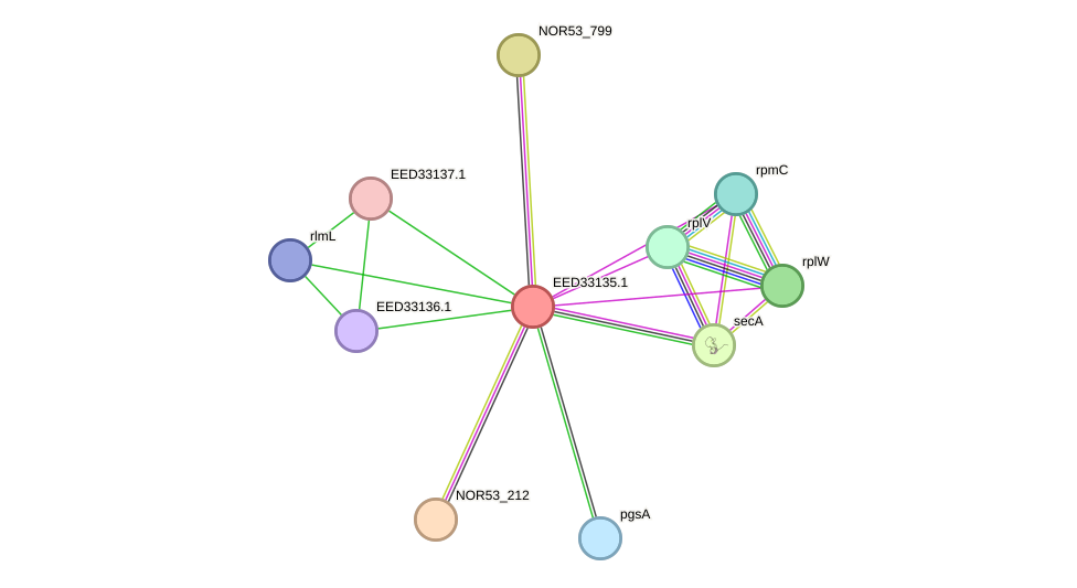 STRING protein interaction network