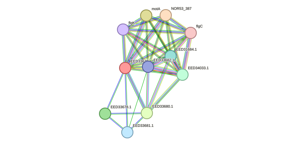 STRING protein interaction network