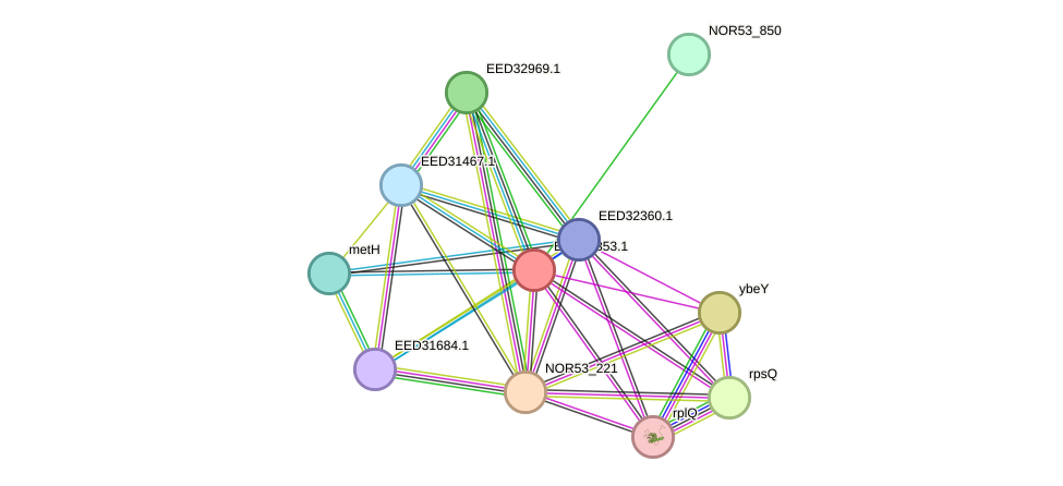 STRING protein interaction network