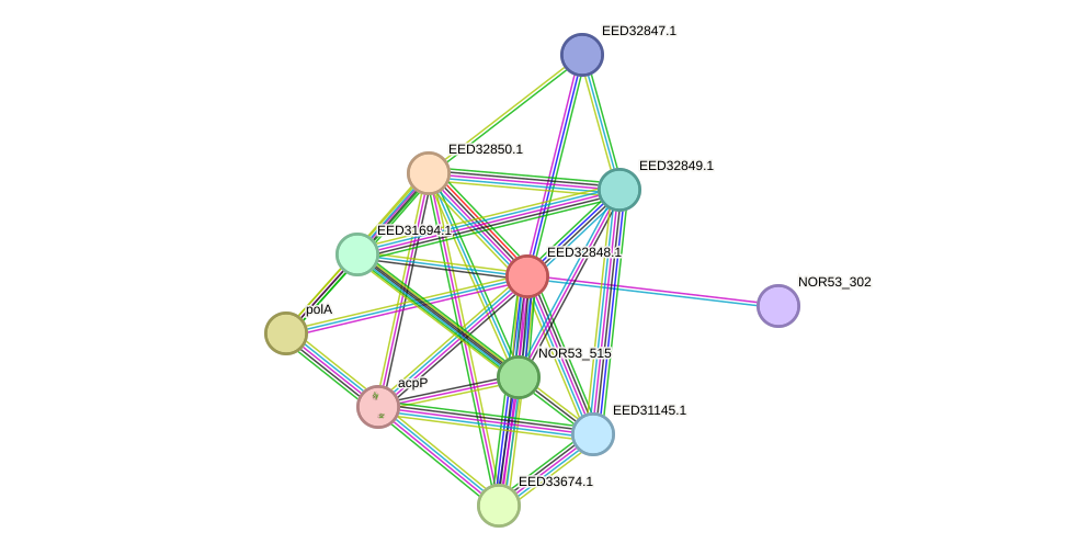 STRING protein interaction network