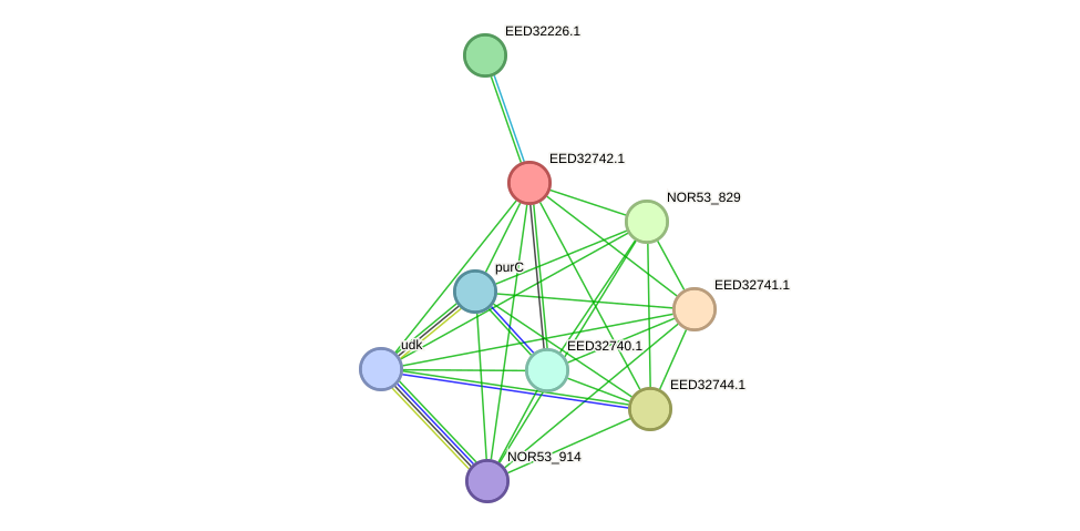 STRING protein interaction network