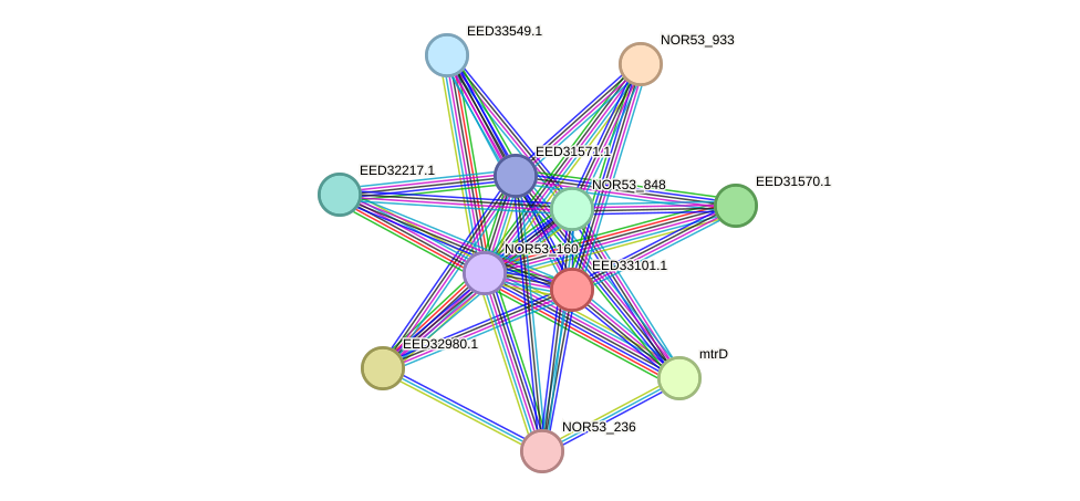STRING protein interaction network