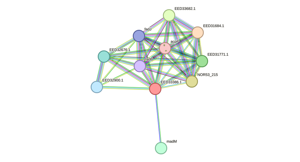 STRING protein interaction network