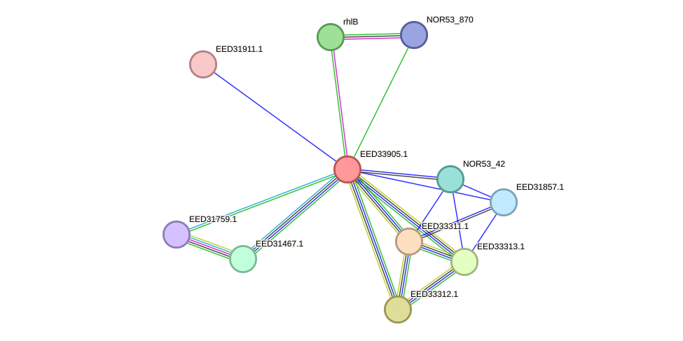 STRING protein interaction network