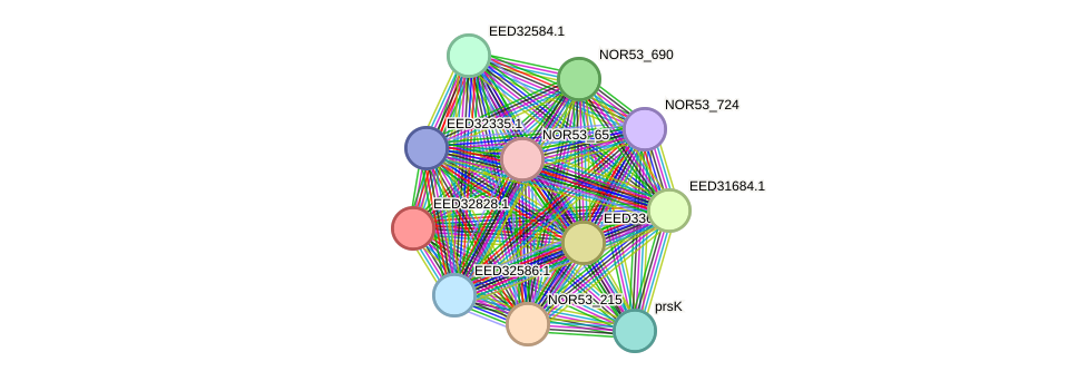 STRING protein interaction network