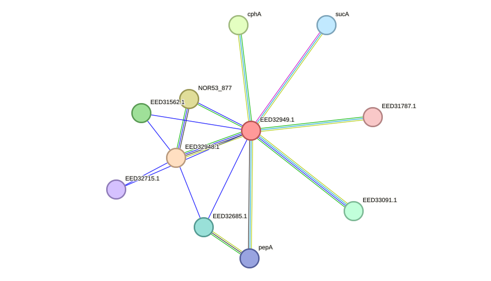 STRING protein interaction network