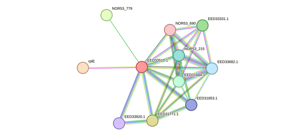 STRING protein interaction network