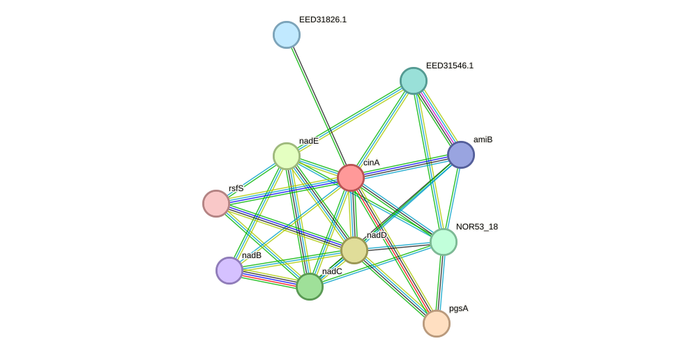 STRING protein interaction network
