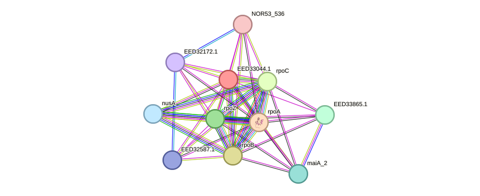 STRING protein interaction network