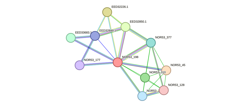 STRING protein interaction network