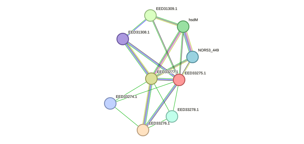 STRING protein interaction network