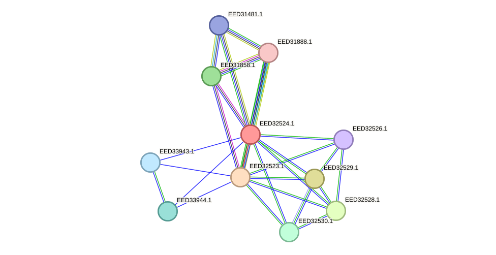 STRING protein interaction network