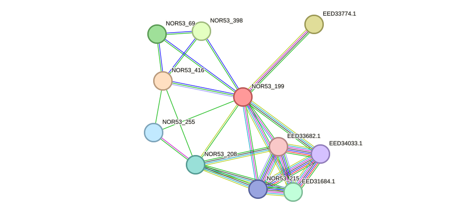 STRING protein interaction network