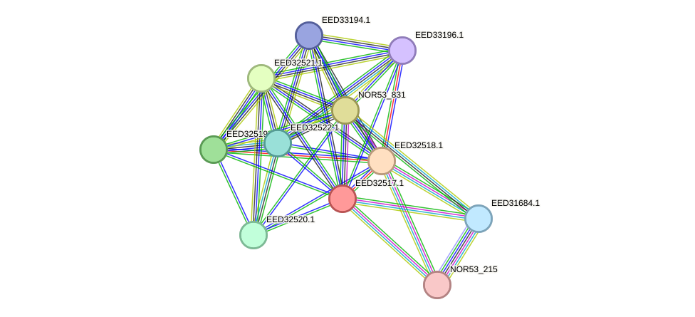 STRING protein interaction network