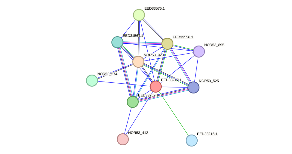STRING protein interaction network