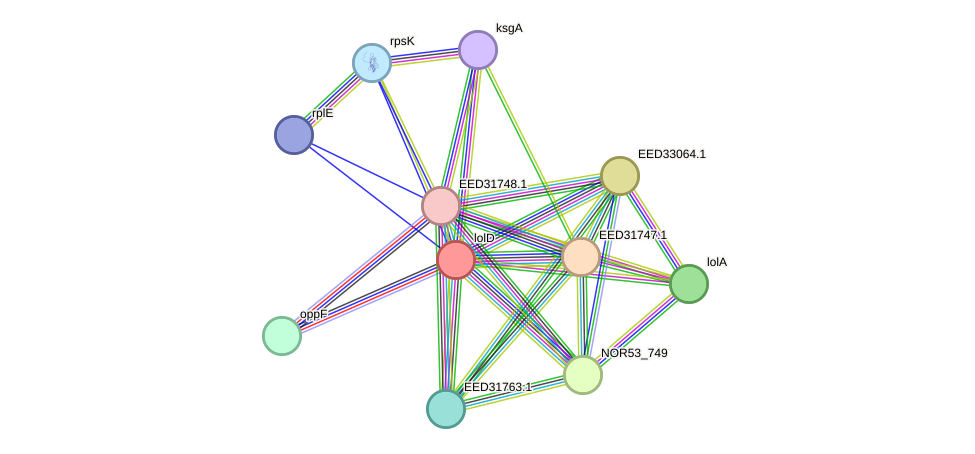 STRING protein interaction network